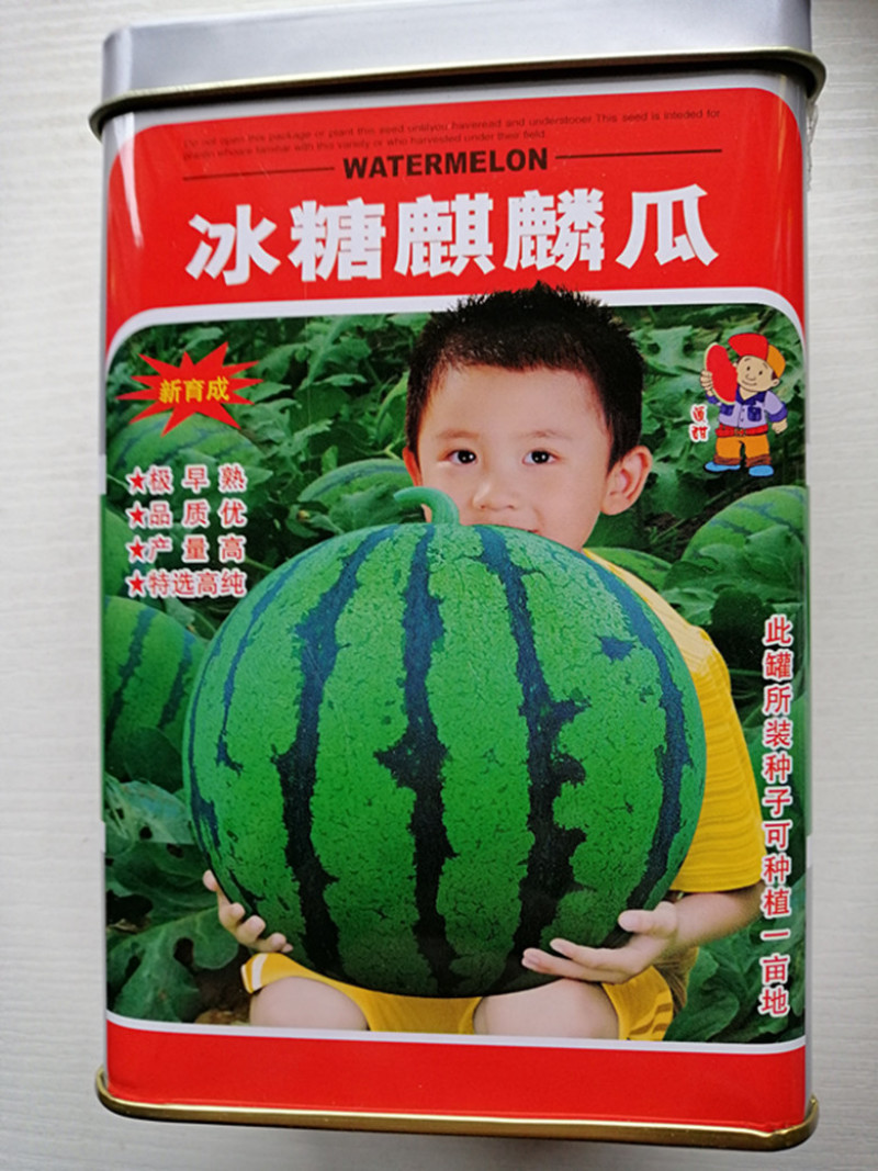 京欣西瓜种子早熟高产懒汉西瓜种籽超甜冰糖麒麟西瓜种子