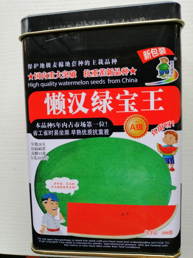 西农八号西瓜种子大果型抗病耐重茬中熟超甜高产基地专用