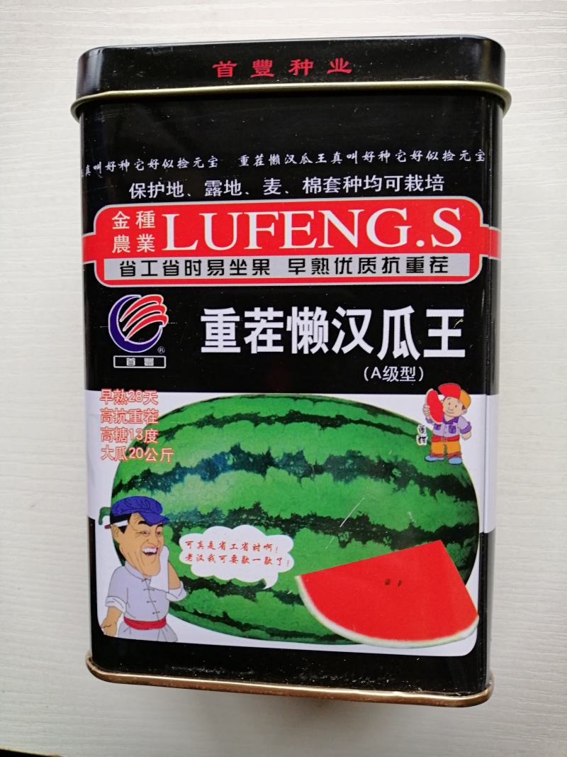 耐重茬懒汉西瓜种子高产-8424西瓜种子