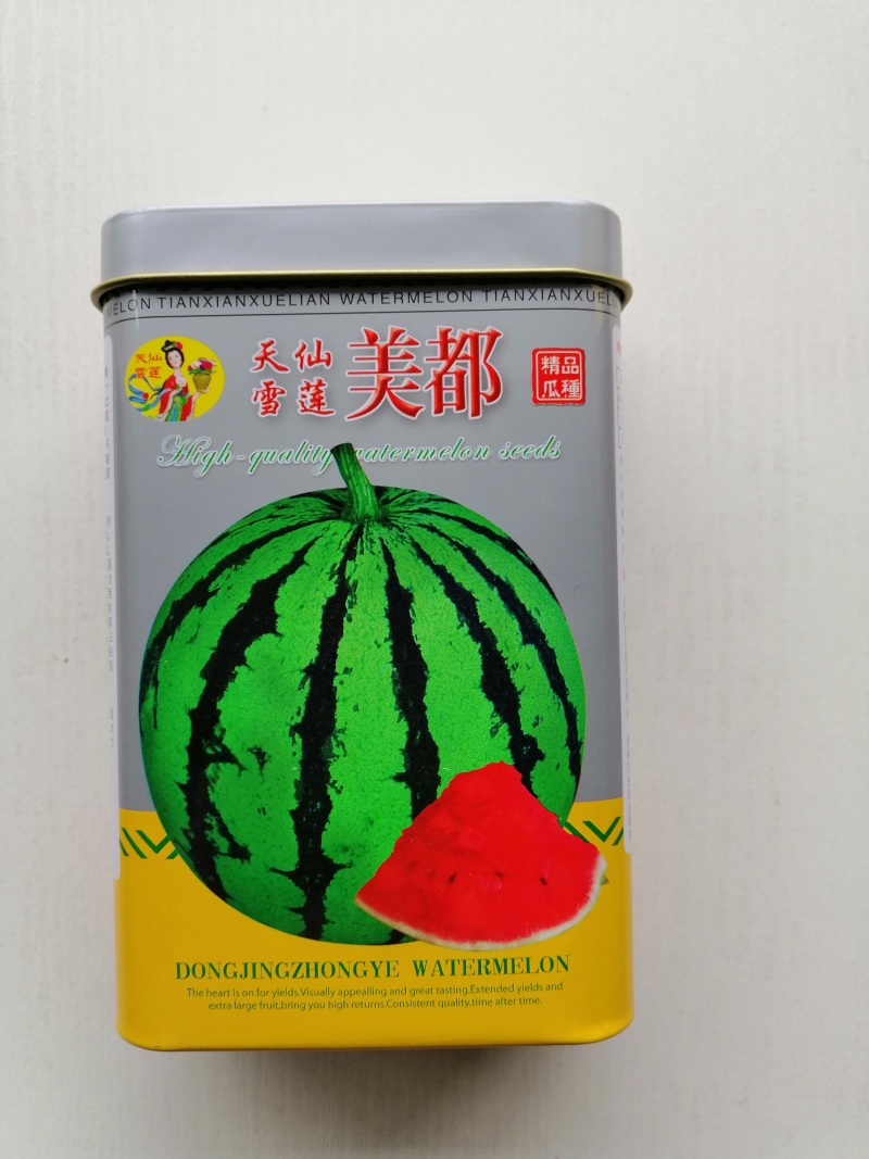 耐重茬懒汉西瓜种子高产-8424西瓜种子