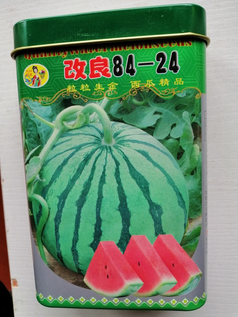 耐重茬懒汉西瓜种子高产-8424西瓜种子