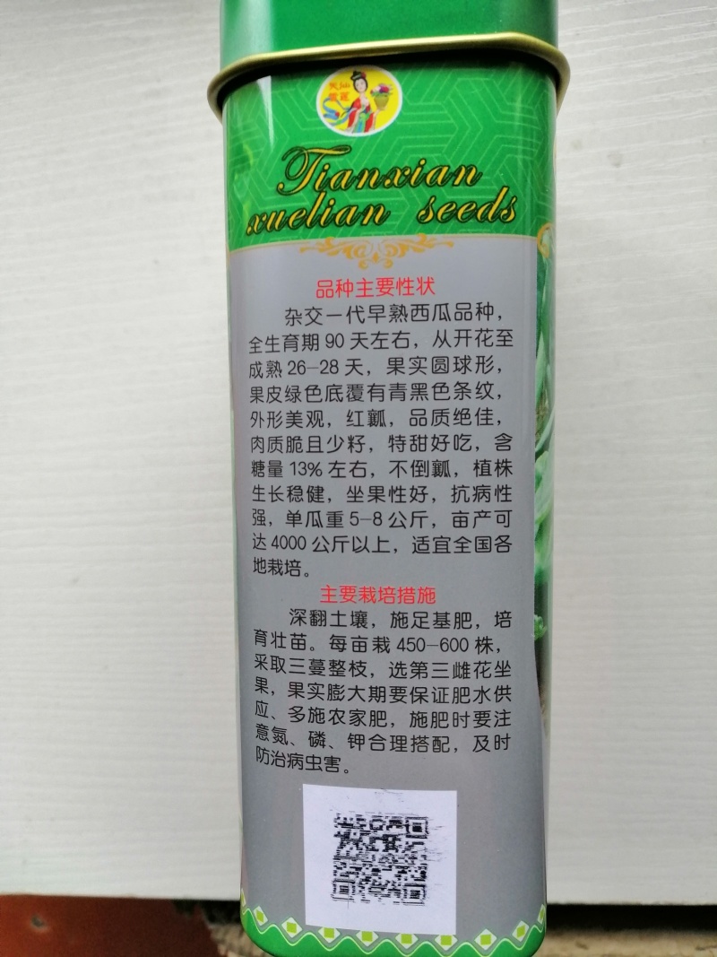耐重茬懒汉西瓜种子高产-8424西瓜种子