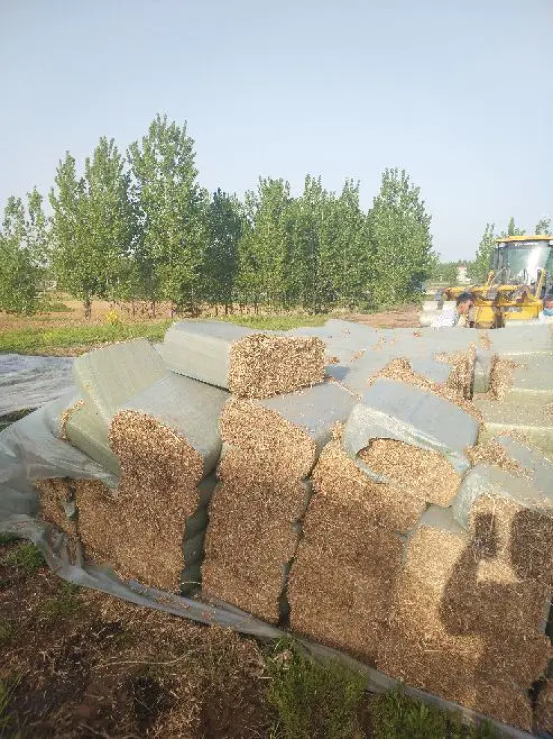 花生秧，羊草牛草马饲料鹿草驴草无土无膜无霉变