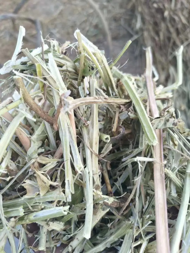 花生秧，羊草牛草马饲料鹿草驴草无土无膜无霉变