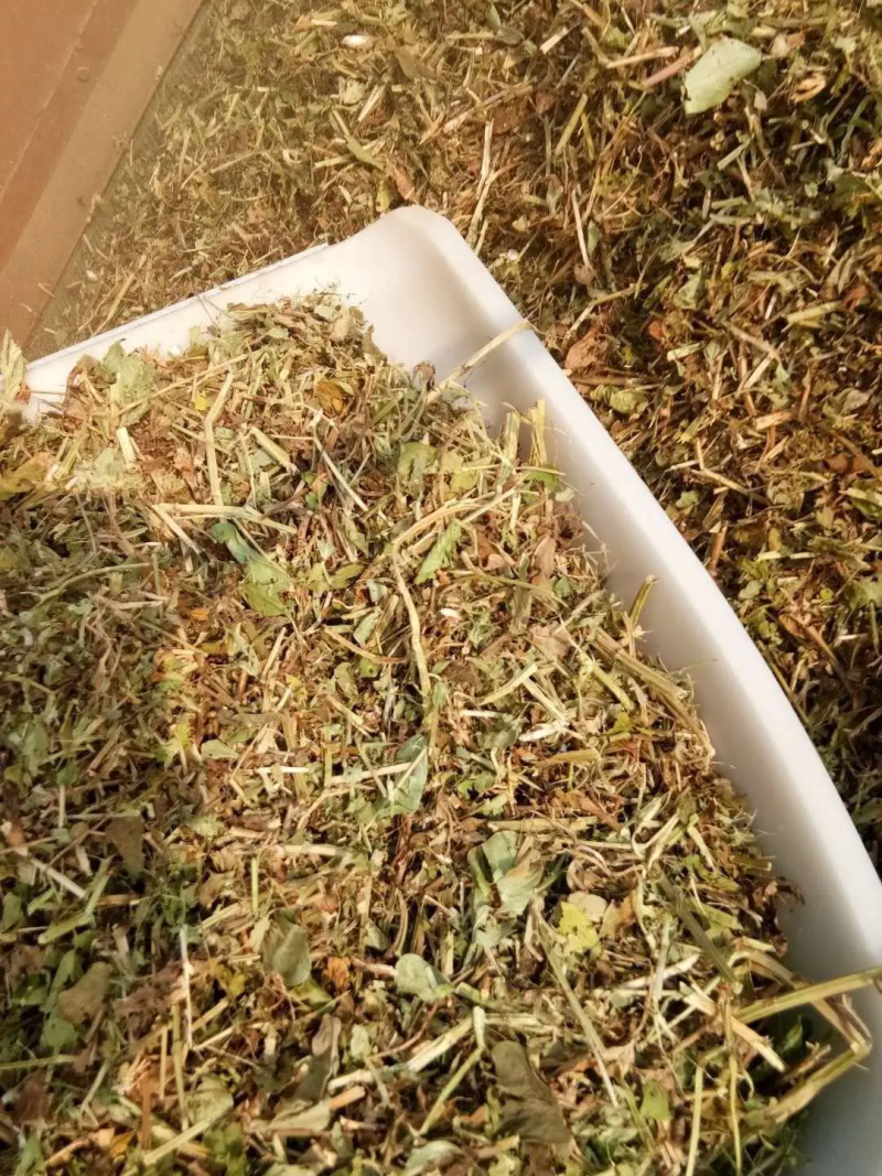 花生秧，羊草牛草马饲料鹿草驴草无土无膜无霉变