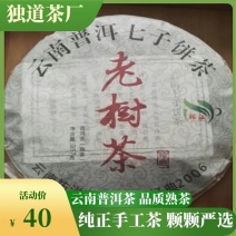 云南普洱茶熟茶，2006年的老茶一级糯香茶叶量大价优