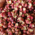 大红袍花椒陕西韩城大红袍花椒，常年供应，量大从优