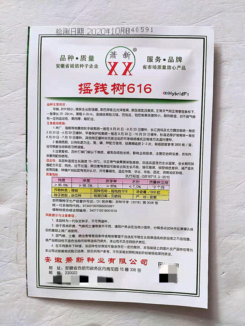 辣椒种子摇钱树616早熟高产抗病肉厚耐热耐湿