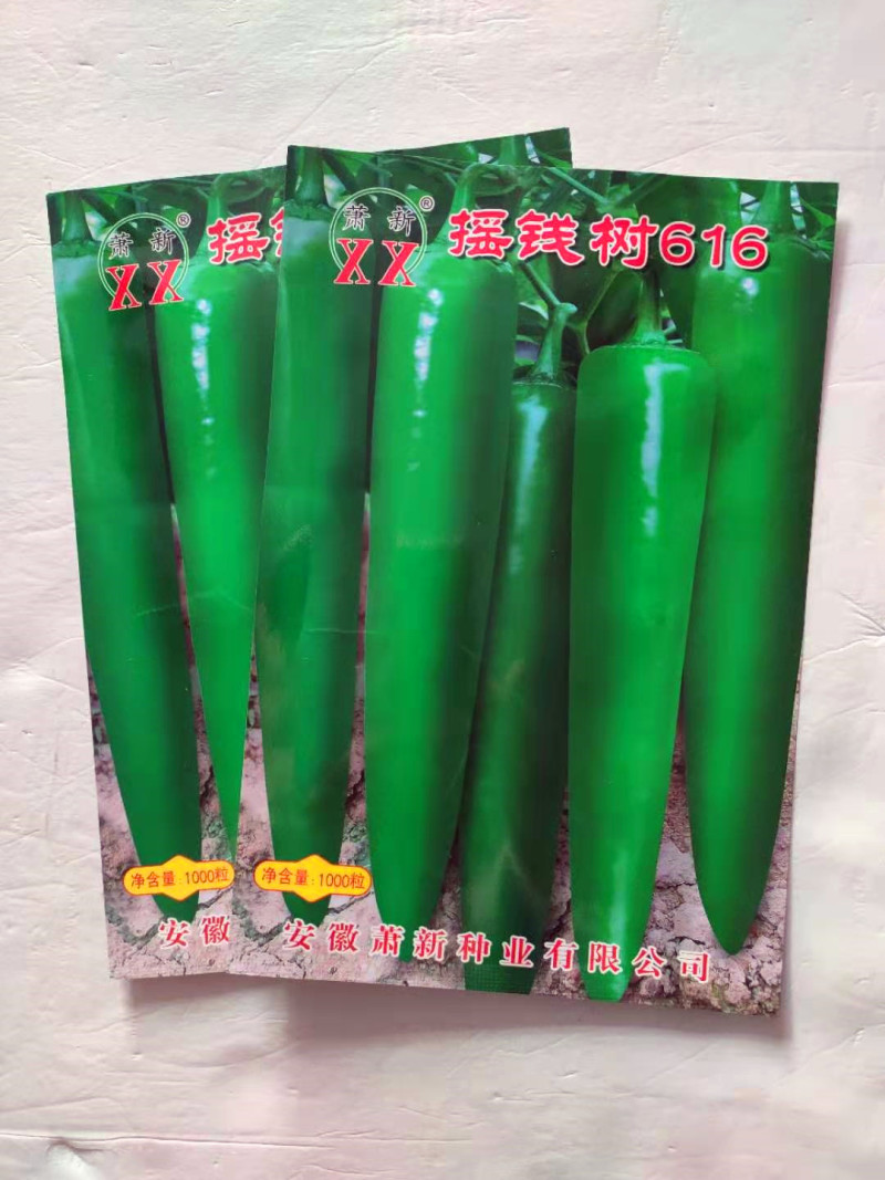 辣椒种子摇钱树616早熟高产抗病肉厚耐热耐湿