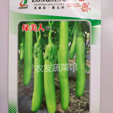 绿茄种子绿美人高产抗病耐热耐湿耐低温耐弱光早熟