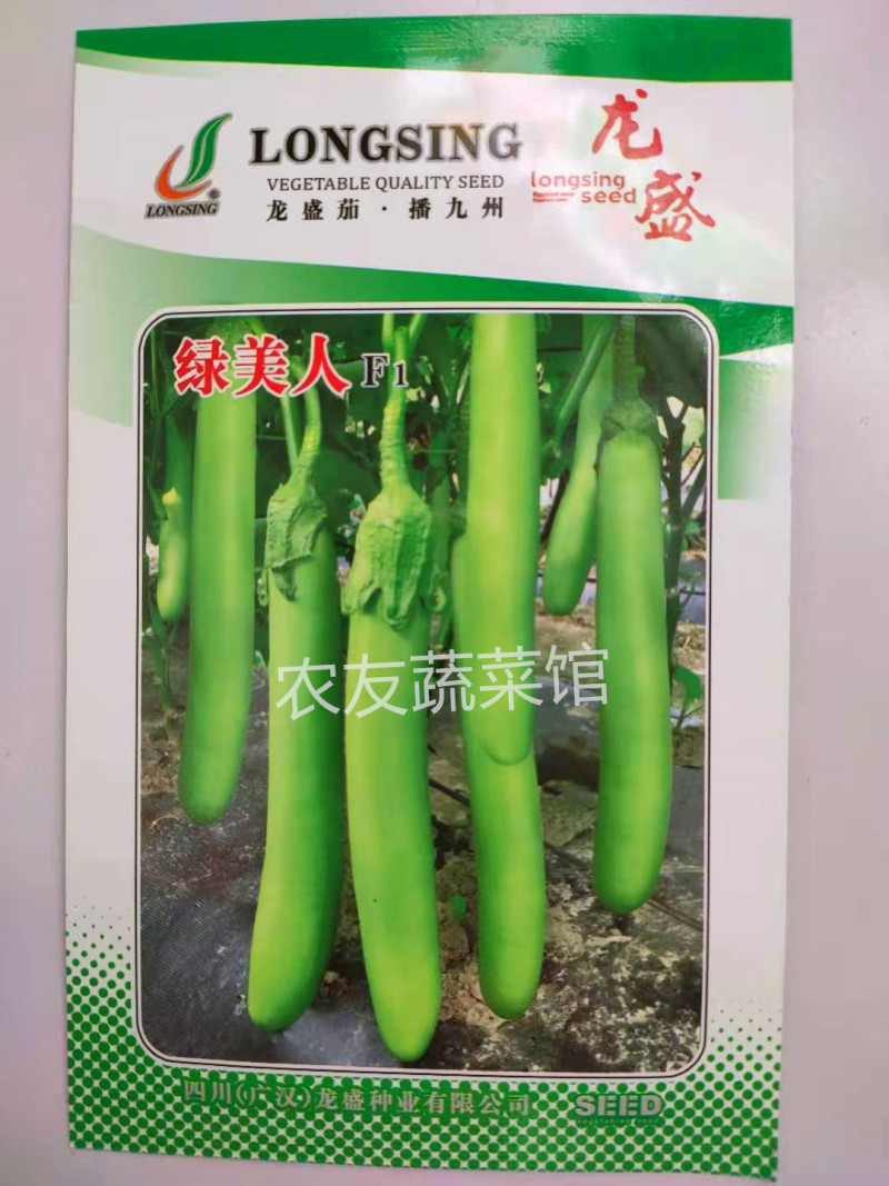 绿茄种子绿美人高产抗病耐热耐湿耐低温耐弱光早熟