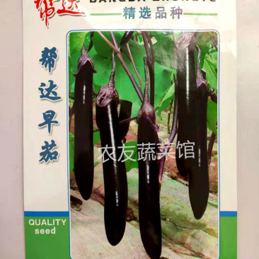 紫茄种子帮达早茄高产抗病耐热耐湿耐寒耐弱光早熟