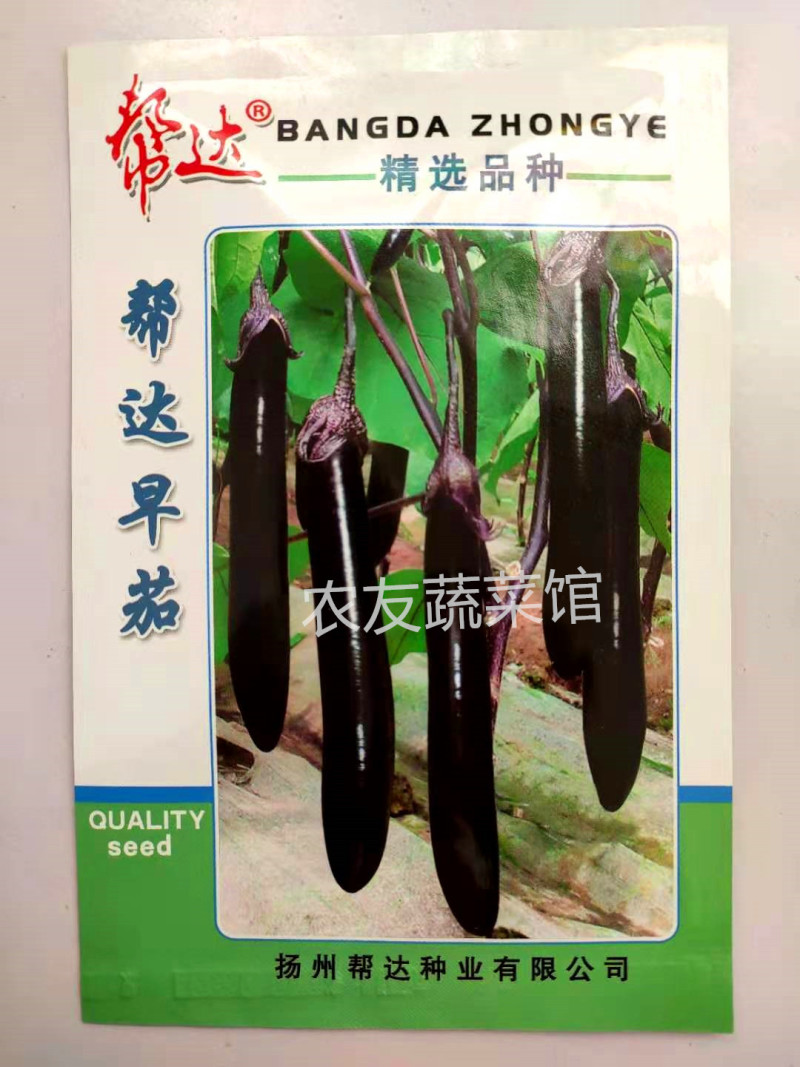 紫茄种子帮达早茄高产抗病耐热耐湿耐寒耐弱光早熟
