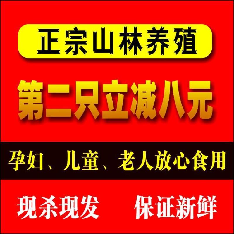 包邮农家散养公鸡柴鸡土鸡草鸡笨鸡走地鸡月子鸡老母鸡现杀鲜