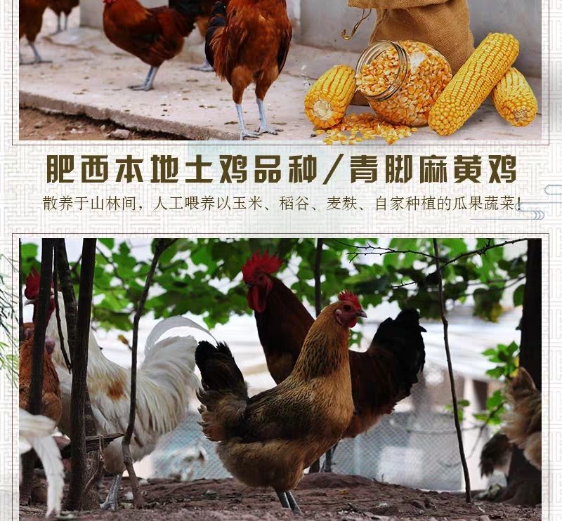 包邮农家散养公鸡柴鸡土鸡草鸡笨鸡走地鸡月子鸡老母鸡现杀鲜