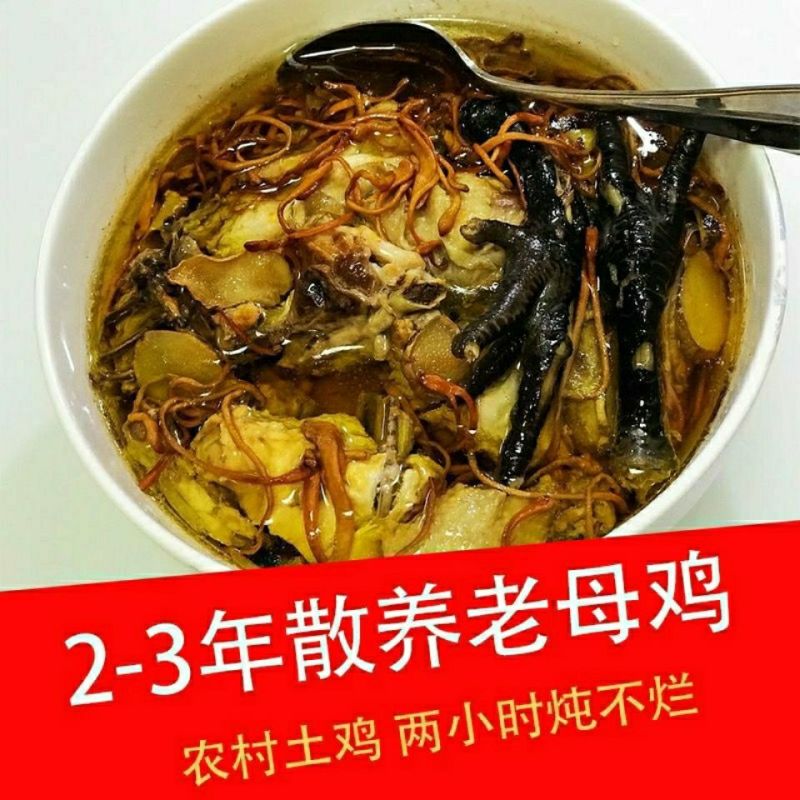散养2年大黑鸡老母鸡)黑脚鸡土鸡笨鸡柴鸡月子鸡走地鸡跑山