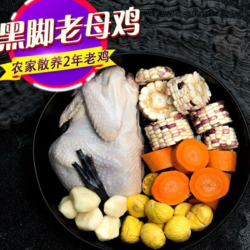 散养2年大黑鸡老母鸡)黑脚鸡土鸡笨鸡柴鸡月子鸡走地鸡跑山