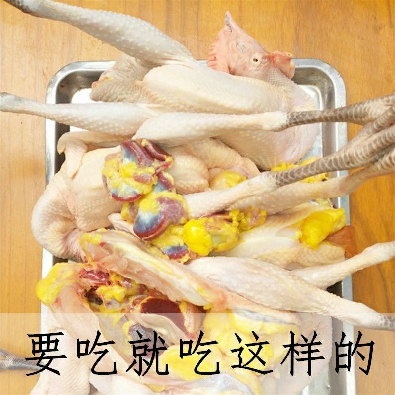 散养2年大黑鸡老母鸡)黑脚鸡土鸡笨鸡柴鸡月子鸡走地鸡跑山