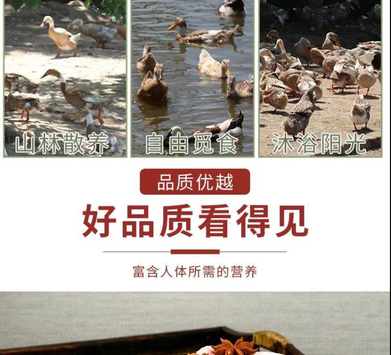 老鸭散养现杀老麻鸭农家土鸭笨鸭新鲜鸭子肉整只老母鸭肉火锅