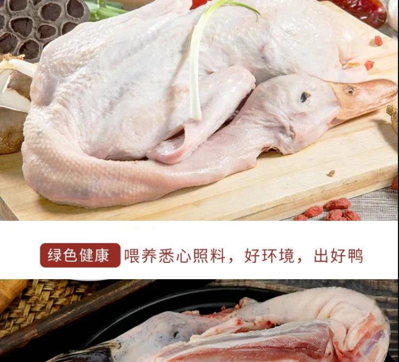 老鸭散养现杀老麻鸭农家土鸭笨鸭新鲜鸭子肉整只老母鸭肉火锅