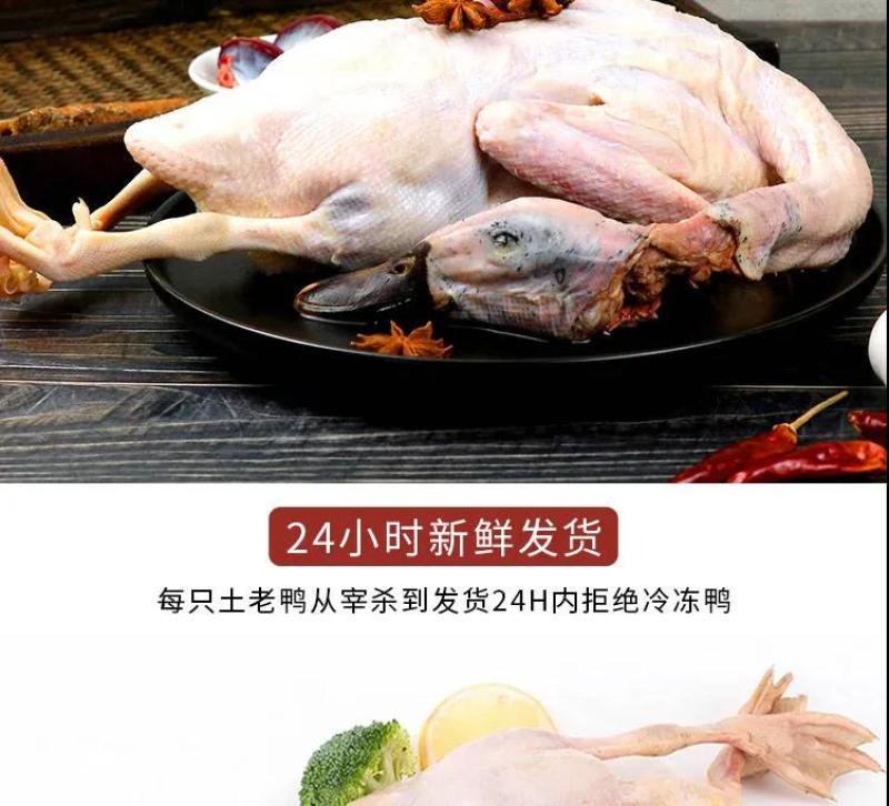 老鸭散养现杀老麻鸭农家土鸭笨鸭新鲜鸭子肉整只老母鸭肉火锅