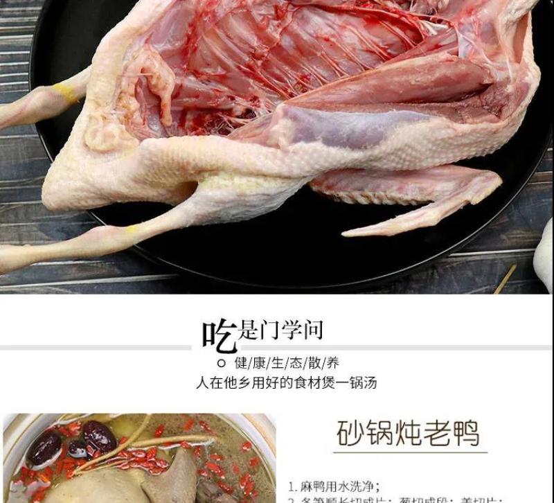 老鸭散养现杀老麻鸭农家土鸭笨鸭新鲜鸭子肉整只老母鸭肉火锅
