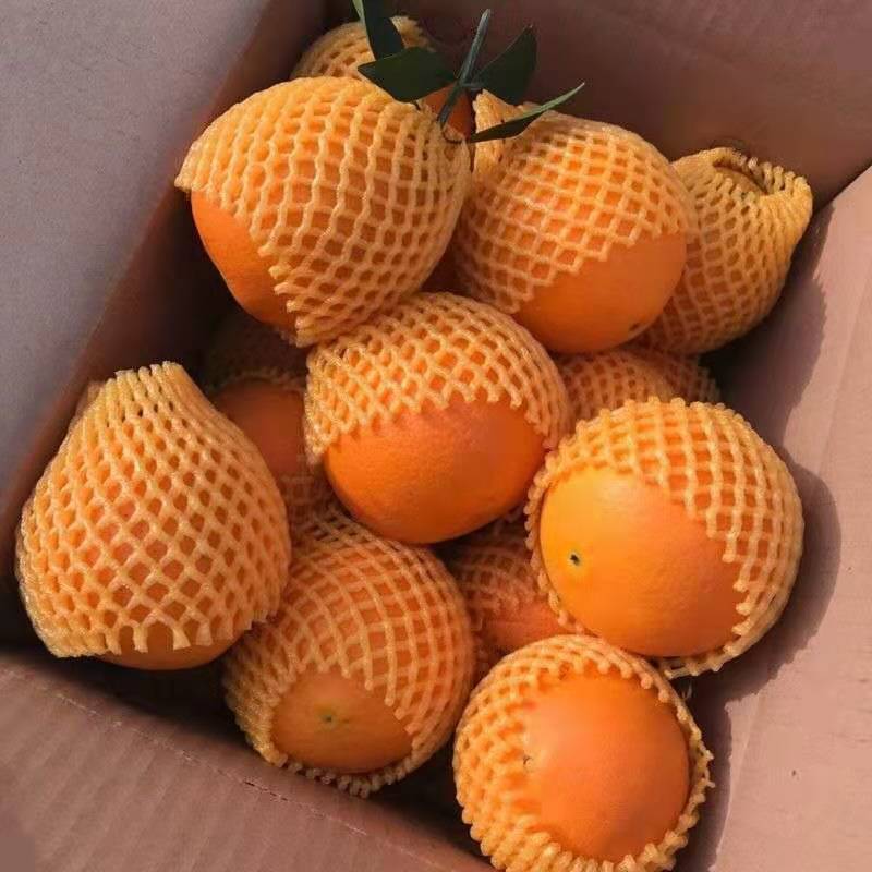 高山脐橙新鲜橙子手剥甜橙应季新鲜水果甜橙子现摘