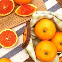 湖北恩施巴东特产中华红血橙精品果批发供应被称为橙中贵族