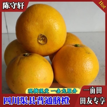 四川渠县，普通脐橙，色黄味甜，皮薄汁多，现摘现发，一手货