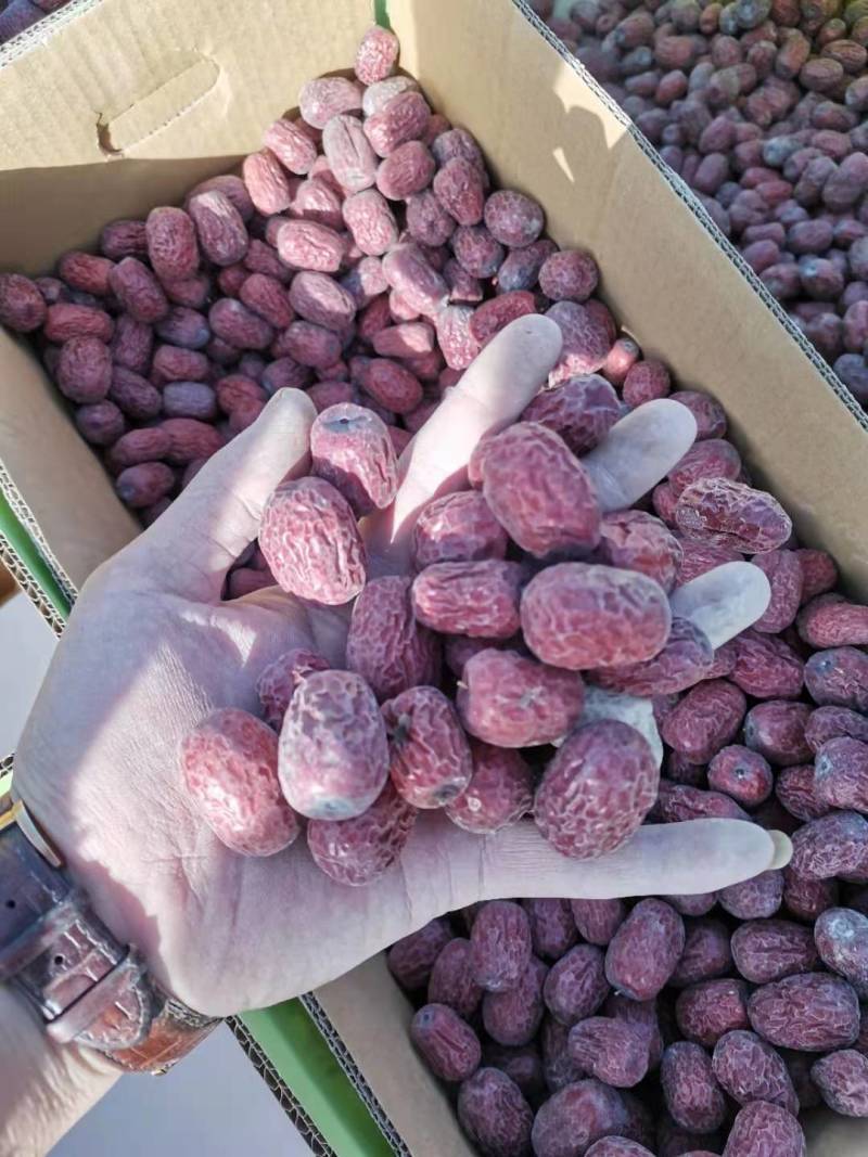 20年新枣新疆若羌灰枣皮薄肉厚核小厂家直销