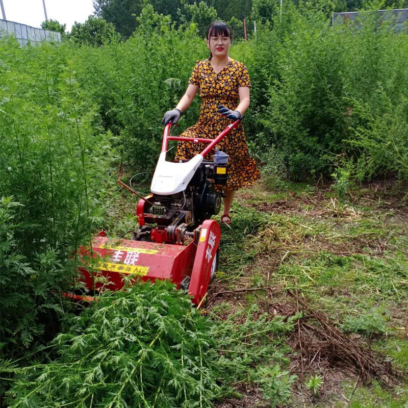 新款农场粉草还田机小型手扶果园碎草机自走式割草还田一