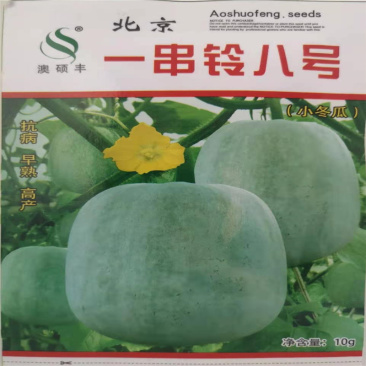 北京一串玲小冬瓜种子串玲八号耐寒粉皮实心迷你冬瓜四季农家