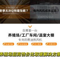 燃油控温热风炉蔬菜大棚鸡猪舍加温暖风炉养殖场升温采暖