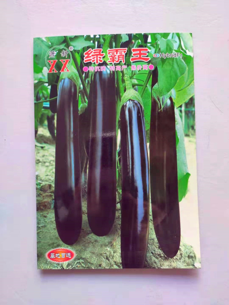 紫茄种子绿霸王早熟高产抗病耐热耐湿耐低温耐弱光杂交