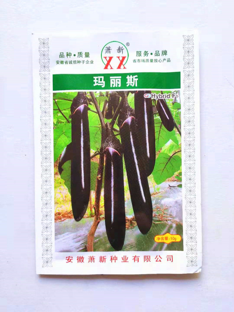 紫茄种子玛丽斯早熟高产抗病耐热耐湿耐低温耐弱光