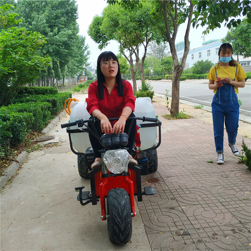 小型乘坐式双动力风送打药机果园运输车座驾式果园果树打