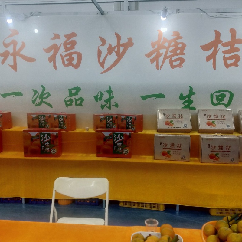 沙糖桔基地产地专业代砂糖桔基地招微商电商市场货具体详谈
