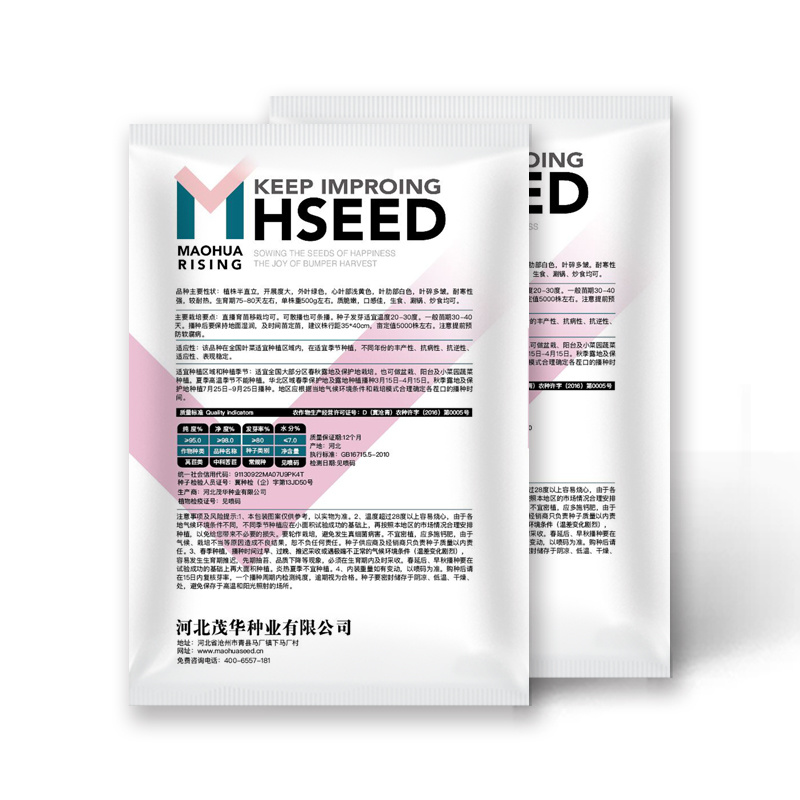 中科茂华蔬菜种子苦苣种子生菜种子外叶绿心叶浅黄耐寒耐热