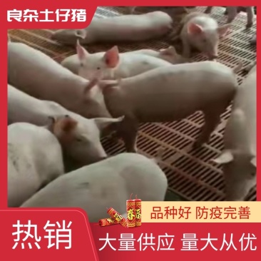本场公司加农户合作共养共赢的原则，专业饲养员封闭管理，