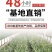 【官方店铺】云南康乃馨小苗，基地直供一手货源，全国发货