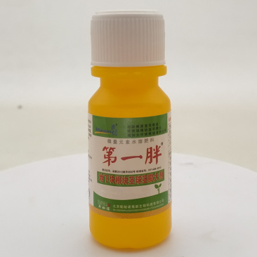 民信第一胖洋葱大蒜红薯山药马蹄魔芋芋头太子参花生膨大素
