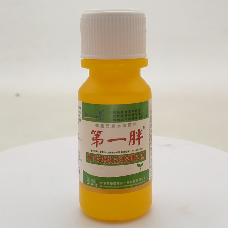 民信第一胖洋葱大蒜红薯山药马蹄魔芋芋头太子参花生膨大素
