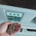 矢车菊种子多年生耐寒花卉种子道路景观庭院绿化花海种植