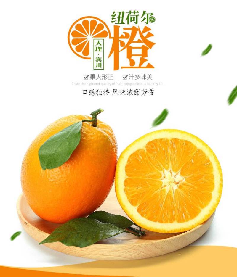 精品纽荷尔脐橙产地直发无代办费现货供应欢迎选购！