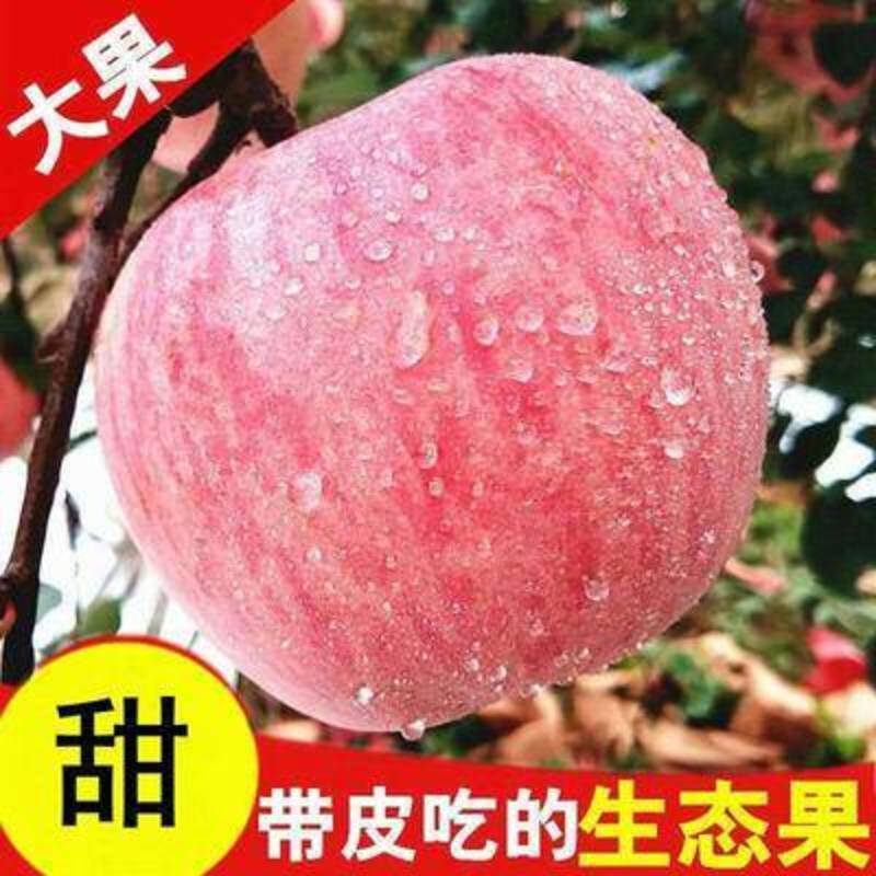 【包邮】精品万荣纸袋花冠苹果脆甜多汁颜色嫩红亮果园现摘现发