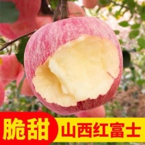 【包邮】山西运城冰糖心红富士苹果新鲜脆甜10斤大果产地直发