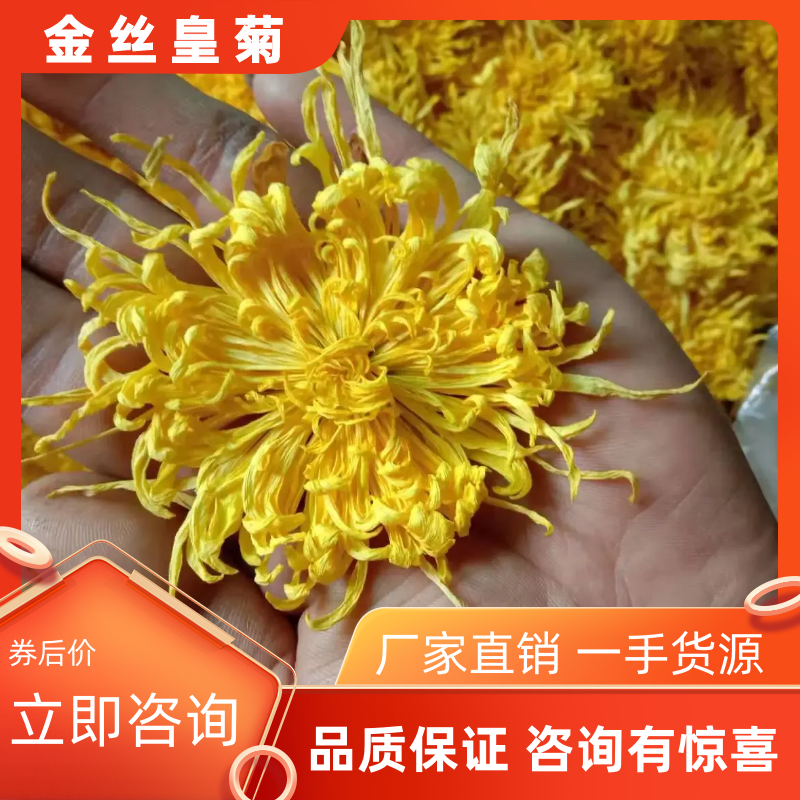 黄山金丝皇菊，一朵一杯，无彩无虫，自产自销