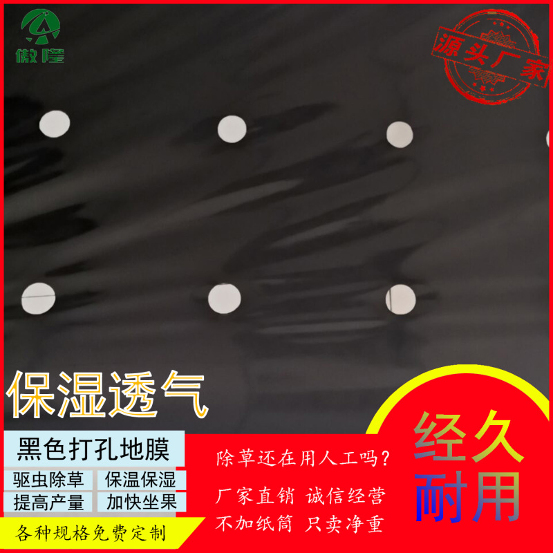 傲隆地膜黑色打孔地膜保温保墒防虫防草地膜量大优惠
