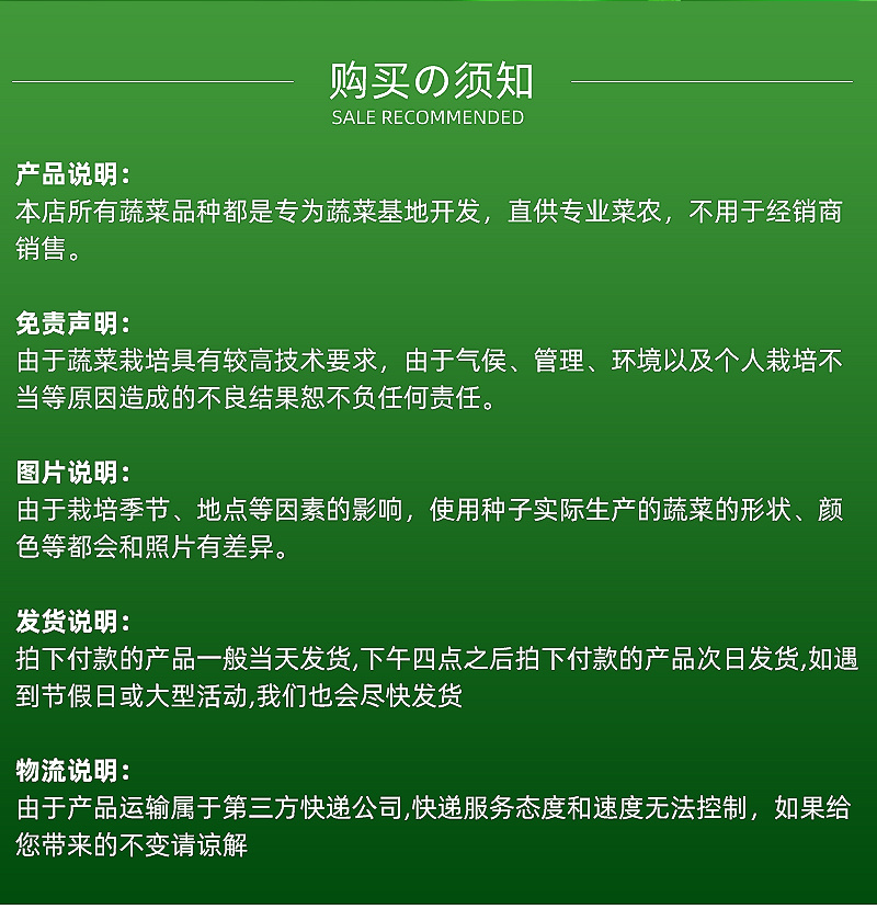 四季全盛201中早熟结球生菜种子球型一致口感柔嫩