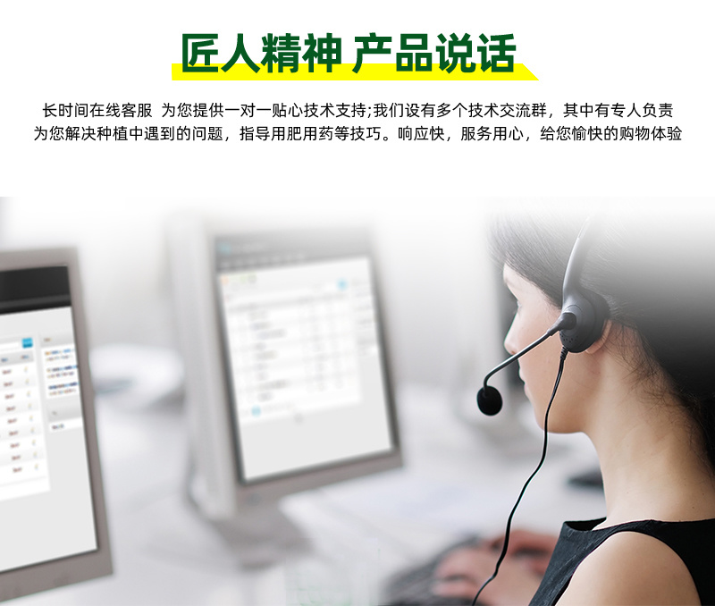 青丽6号杂交一代长线椒种子条顺垂直